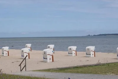 Mimi an der Ostsee - ABC340