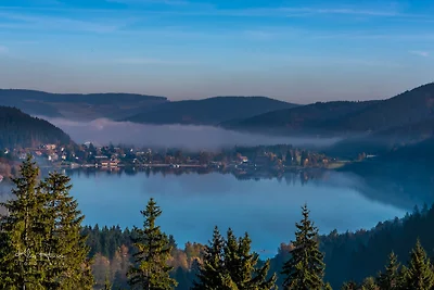 Ferienhaus Dresselbach - Wohnung 03