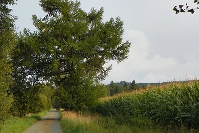 am Weissenstädter See