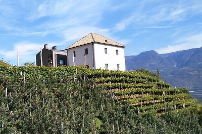 Appartamento Vacanza con famiglia Bolzano