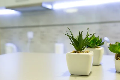 Vakantieappartement Gezinsvakantie Szklarska Poreba