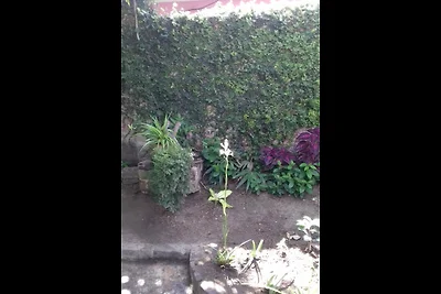 Villa Don González Appartement 2