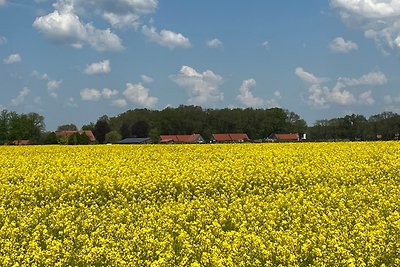 Vakantieappartement Gezinsvakantie Lastrup