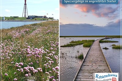 Nordseeurlaub im hochwertigen