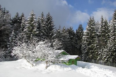 Vakantieappartement Gezinsvakantie Neureichenau