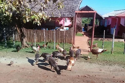 Appartamento Vacanza con famiglia Pinar del Rio