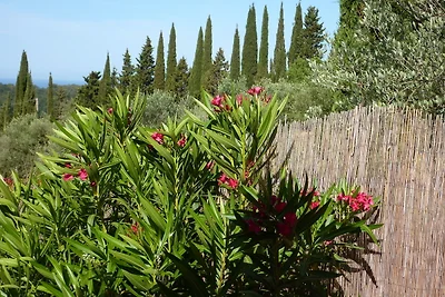 Rifugio Guardistallo