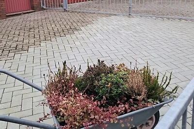 Vakantieappartement Gezinsvakantie Dornum