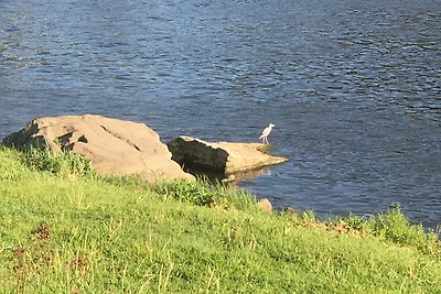 Prima Klima Villa - Ferienwohnung