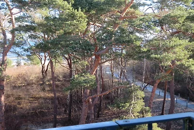 (Brise) Appartement-Suiten