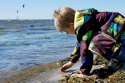 Holiday flat family holiday Burg auf Fehmarn