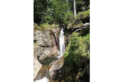 Ferienland Sonnenwald FEWO 46