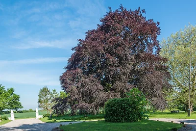 Appartamento Vacanza con famiglia Grömitz