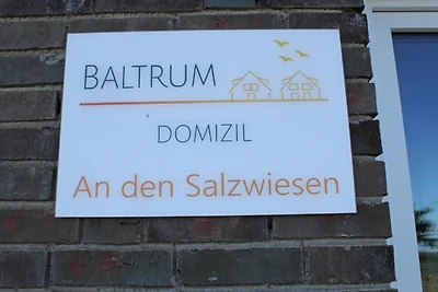 Heringsmöwe, Haus an den