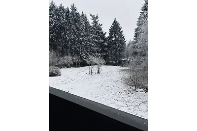 Ferienwohnung am Waldseebad