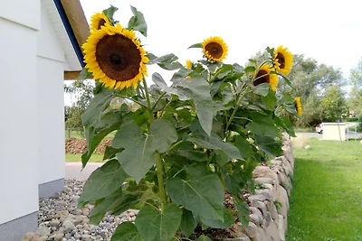 Reethaus Strandgut - geräumiges