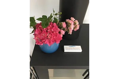 Ostsee - Appartement "Pier 77" im