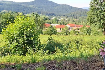 Apartament Dla rodzin Bodenmais