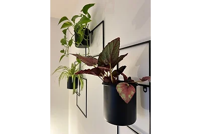 Pension Spreewald Lächeln -