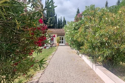 Casita Cacahuete