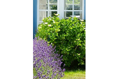 Vakantiehuis Ontspannende vakantie Gelting