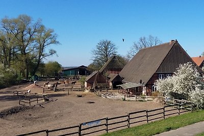 Pony-Ranch-Hütte