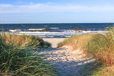 Holiday flat family holiday Burg auf Fehmarn