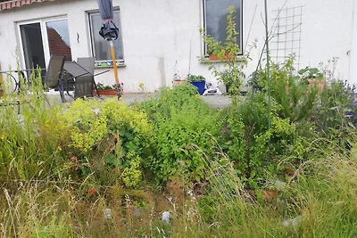 Appartamento Vacanza con famiglia Wittenburg