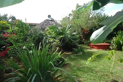 Hostal Vivo Appartement 2
