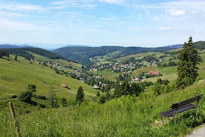 Bühlhof Todtnauberg Wohnung 2