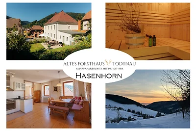 Altes Forsthaus - Fewo "Hasenhorn"