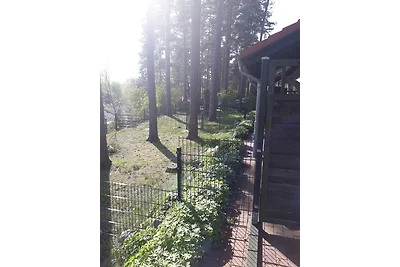 Ferienhaus Waldschneise B am