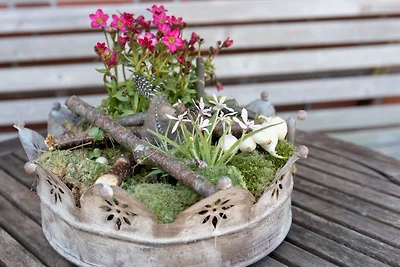 Vakantieappartement Gezinsvakantie Bojendorf