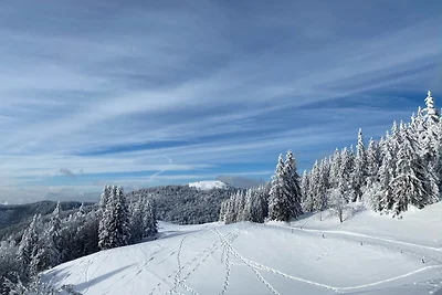 Appartamento Vacanza con famiglia Feldberg