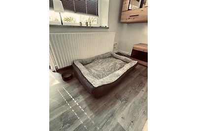 Appartamento Vacanza con famiglia Friedrichskoog