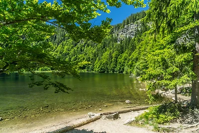 Appartamento Vacanza con famiglia Todtnau