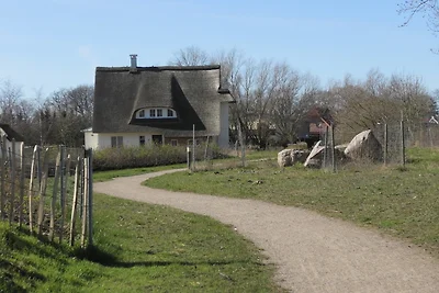 Reethaus Strandgut - geräumiges