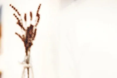 Appartamento Vacanza con famiglia Hagermarsch