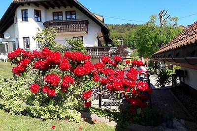 Vakantieappartement Gezinsvakantie Dachsberg