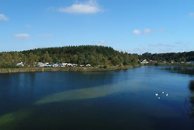 Accommodatie Vakantie op de boerderij Midlum