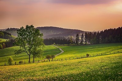 Söhredomizil Kaufunger Wald -