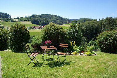 Vakantieappartement Gezinsvakantie Schönenberg