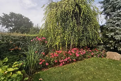 Blick Wismarer Bucht - ABC51