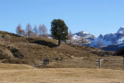Almwiesenhütte