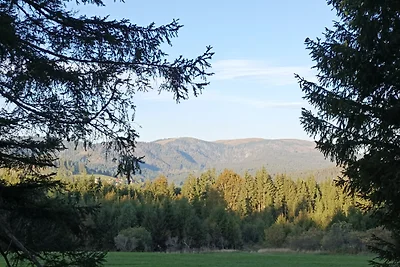 Vakantieappartement Gezinsvakantie Falkau