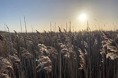 Ferienhaus Strandliebe ( FH3)