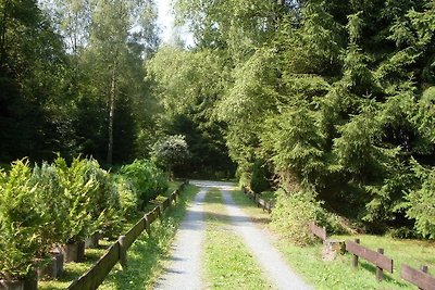 Ferienhäuser Am Waldschlösschen 1