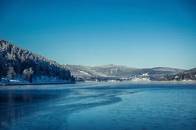 Vakantieappartement Gezinsvakantie Schluchsee