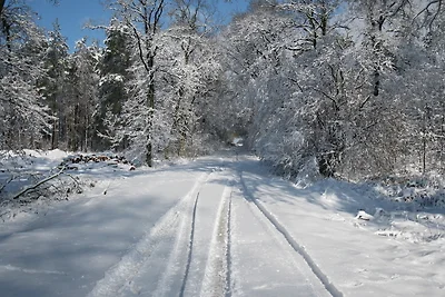 Vakantieappartement Gezinsvakantie Wittingen