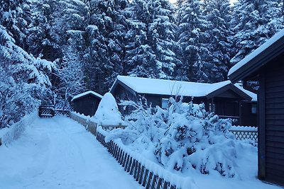 Waldsee Ferienhaus mit Kamin,W-Lan